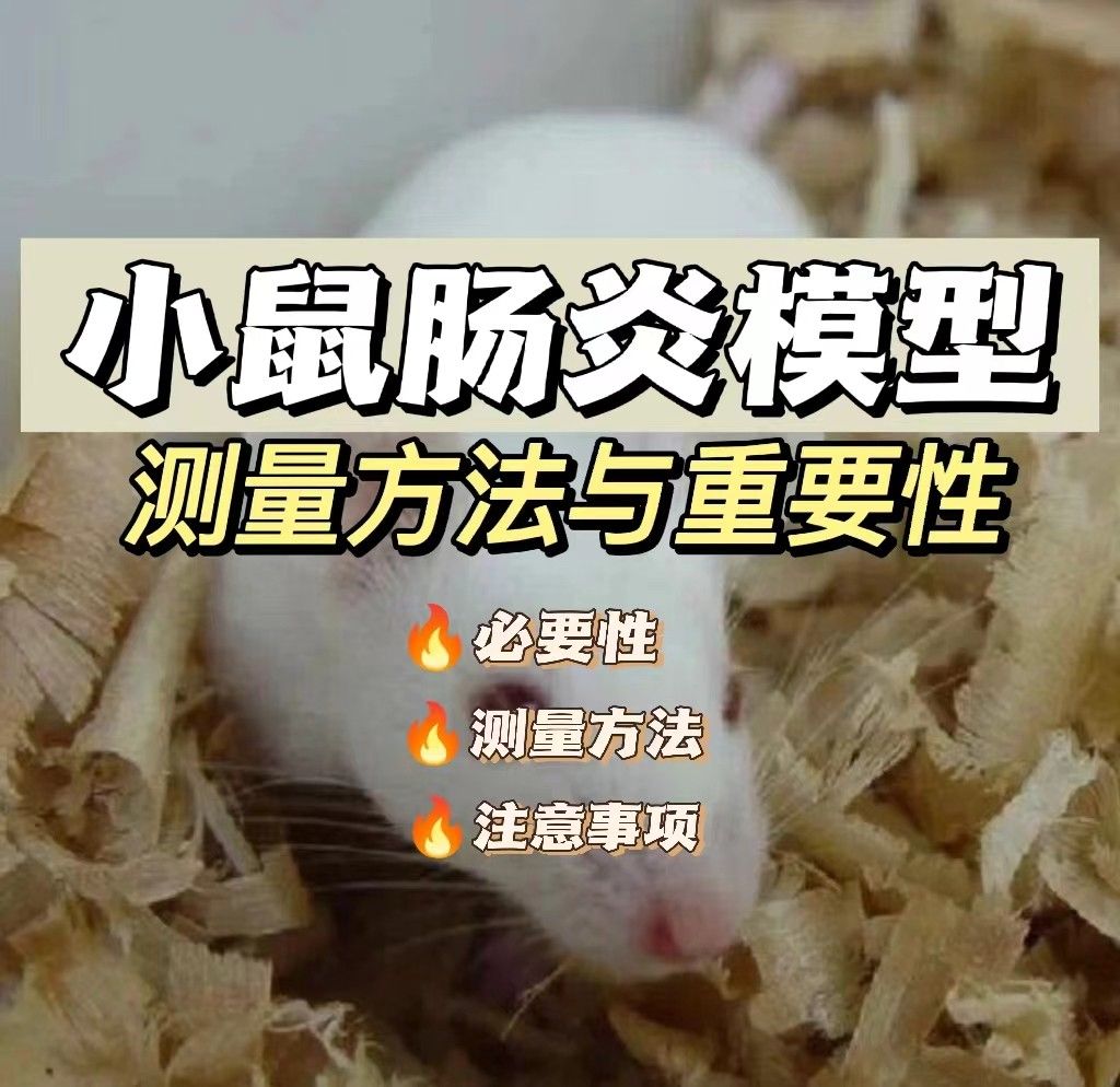小鼠肠炎模型体温怎么测量？