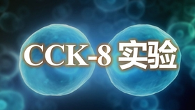 CCK8实验新手教程【快速入门】