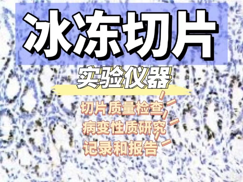 冰冻切片实验结果分析是怎么样的？