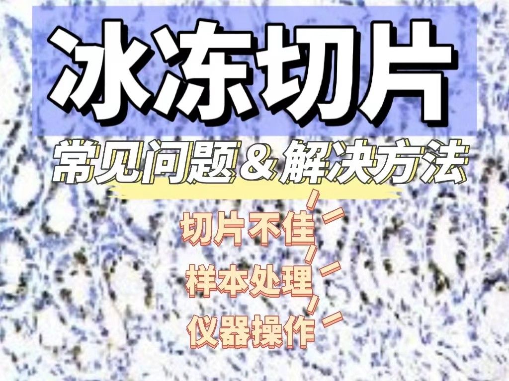 冰冻切片实验常见问题以及解决方法