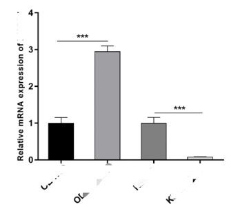 QPCR