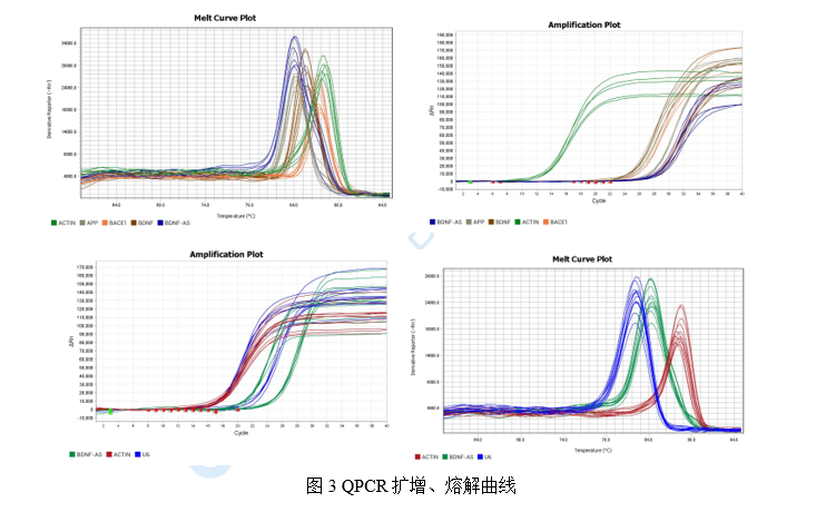 QPCR-细胞