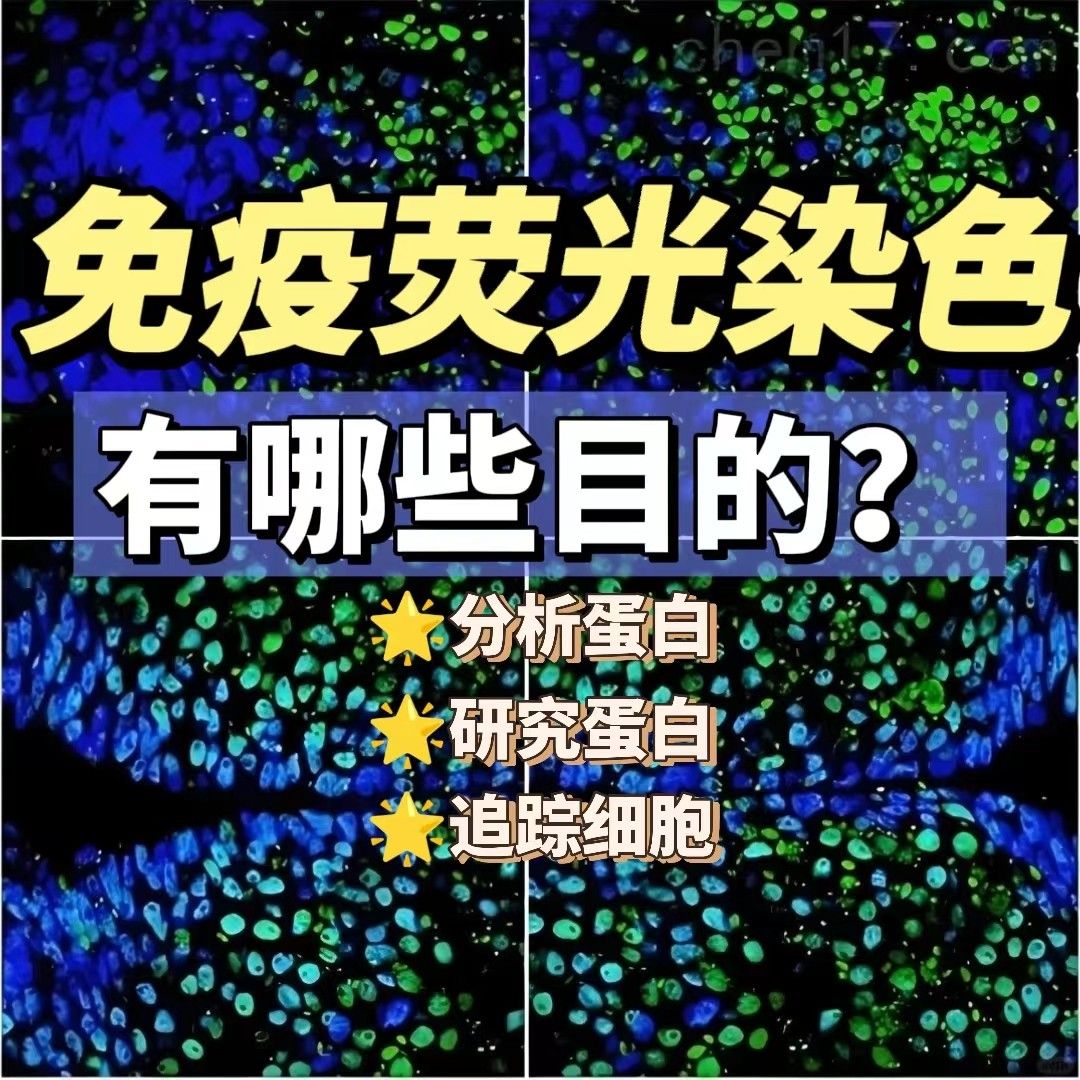 免疫荧光染色到底有哪些目的呢？