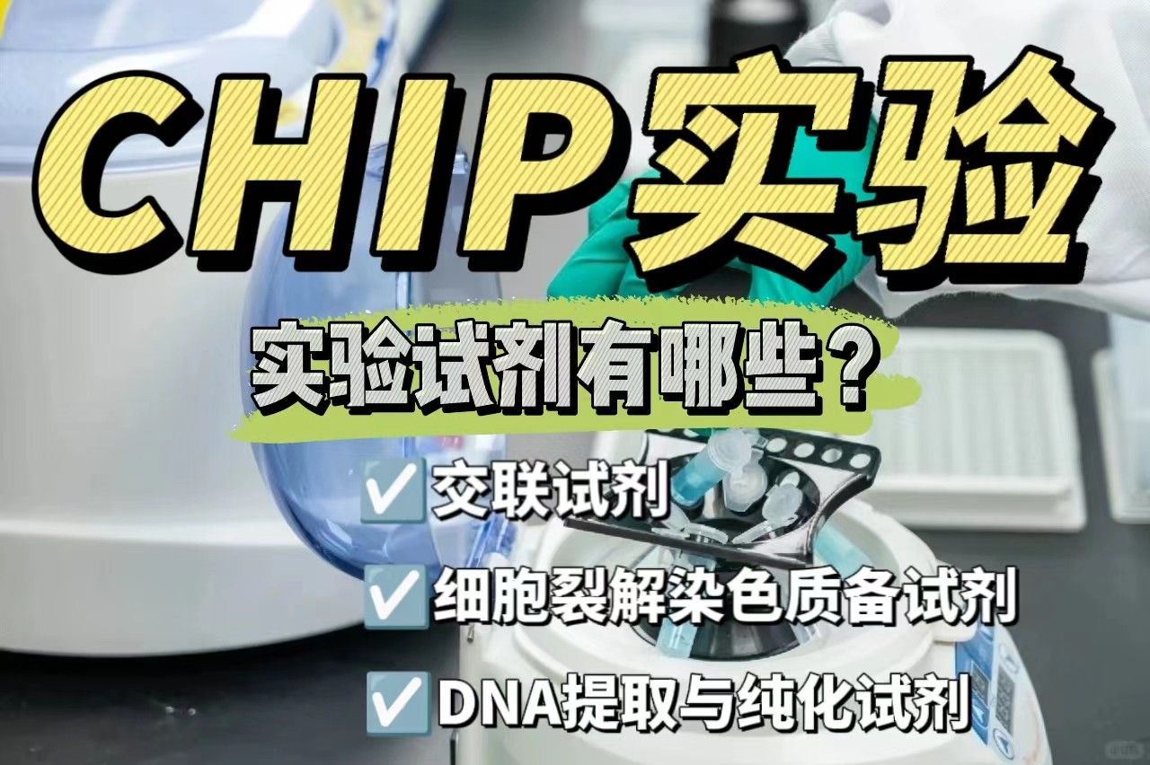 染色质免疫共沉淀（CHIP）实验试剂有哪些？