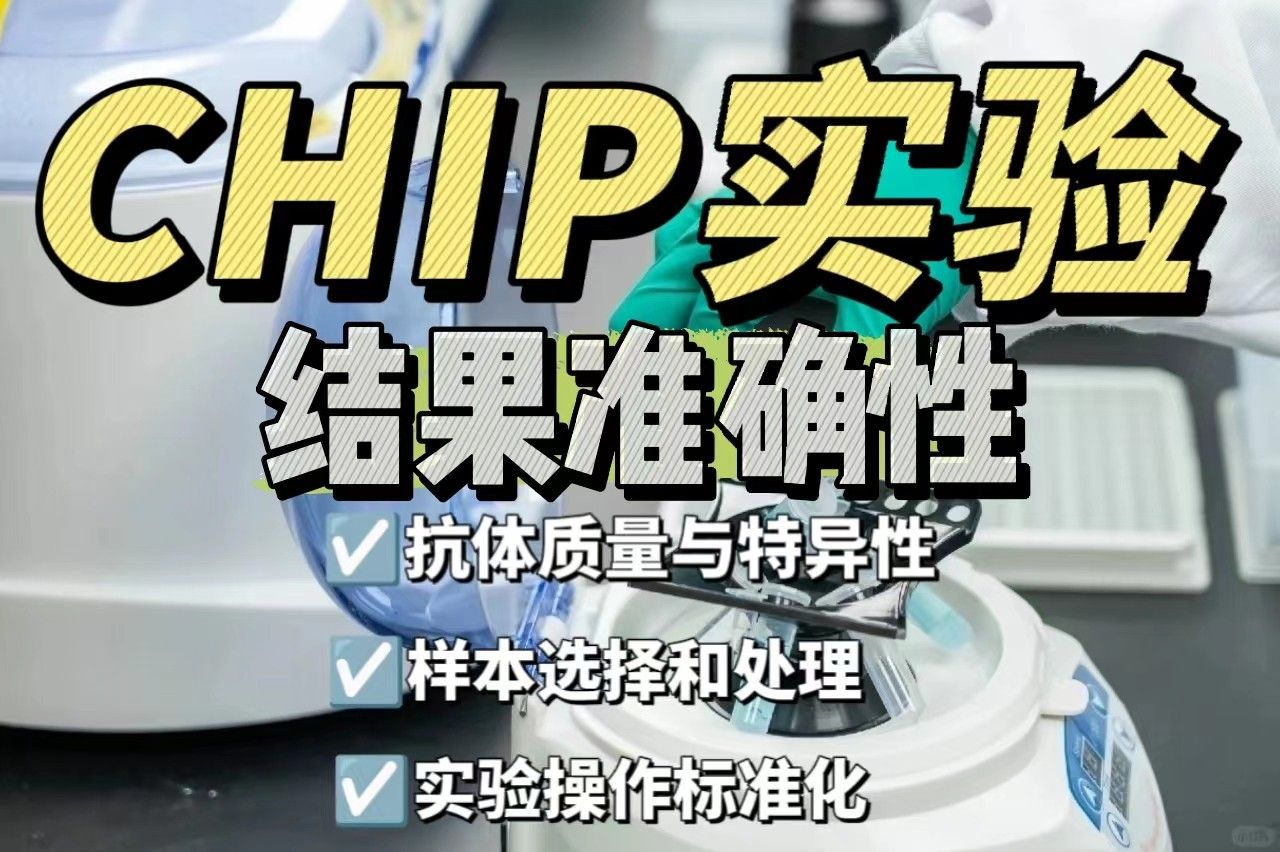 确保ChIP实验测序结果准确性的关键因素有哪些？