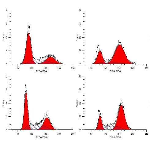 细胞流式周期检测