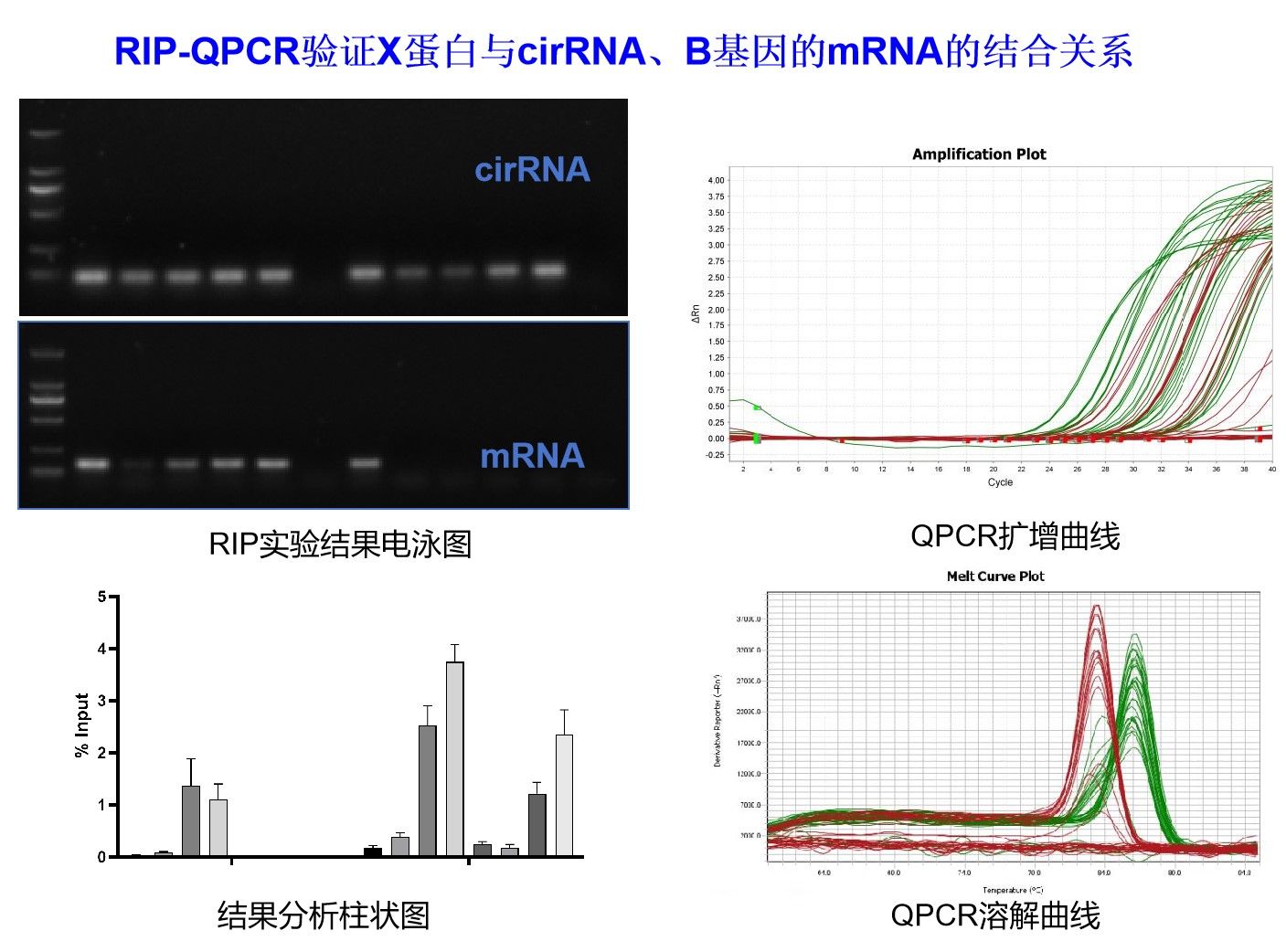 RIP-QPCR