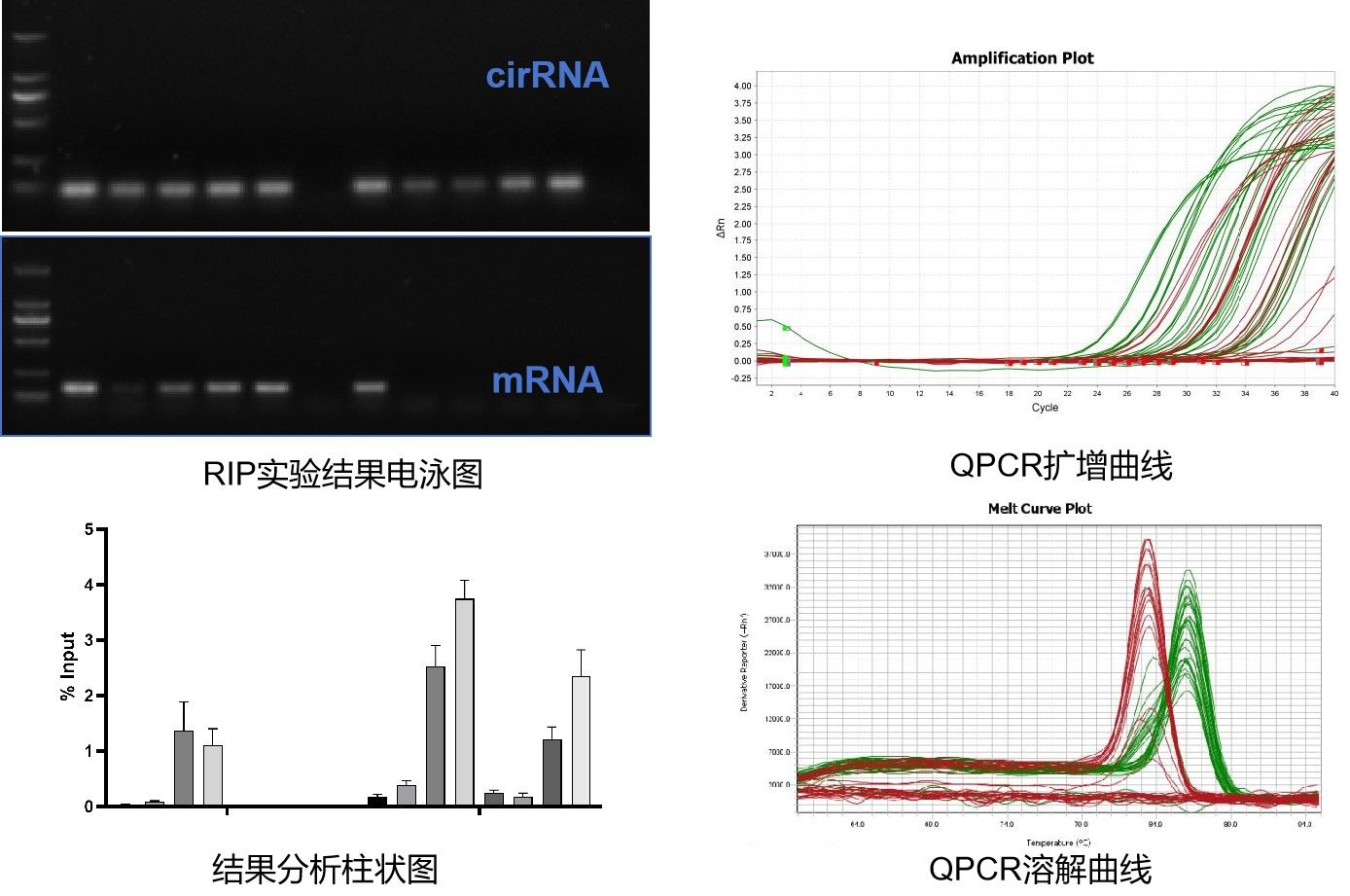 RIP-QPCR