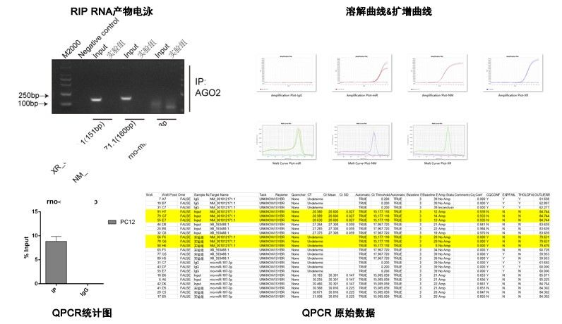 RIP-QPCR