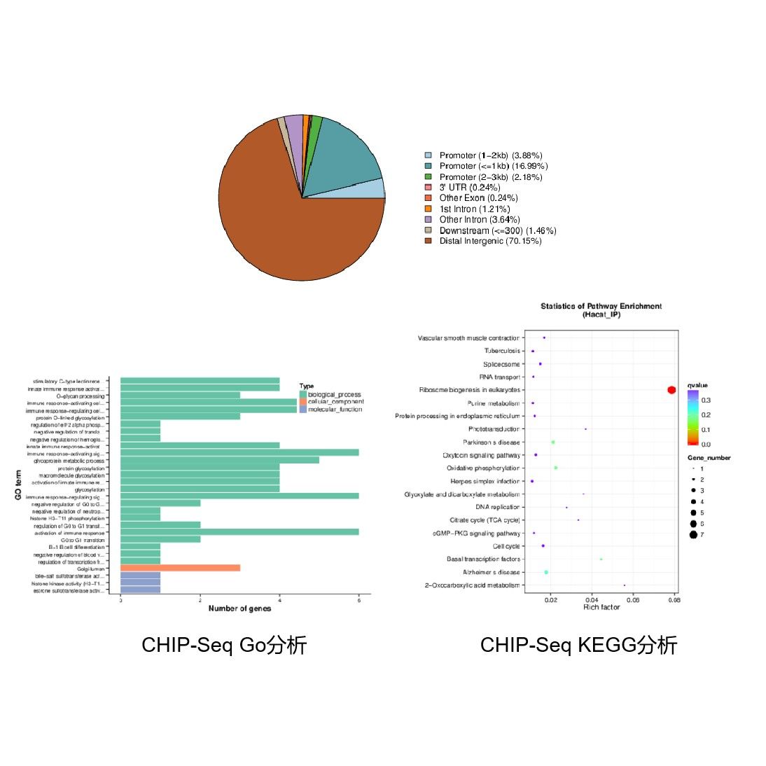 CHIP-Seq