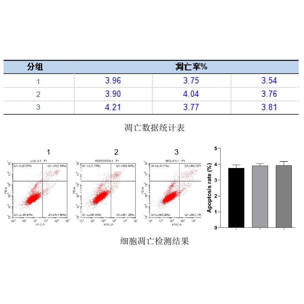 流式细胞术检测细胞的凋亡情况