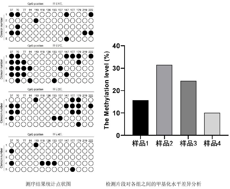 甲基化检测