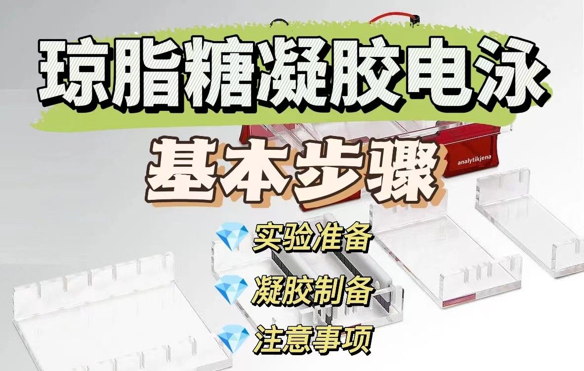 琼脂糖凝胶电泳步骤【新手入门】