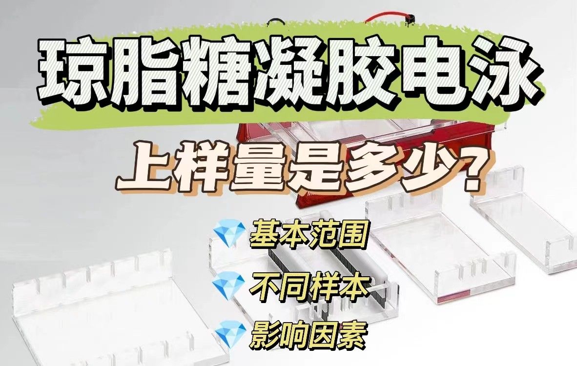 琼脂糖凝胶电泳的上样量是多少？