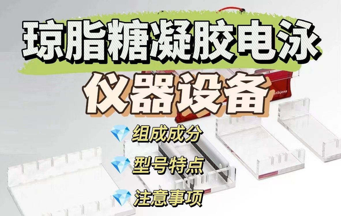 琼脂糖凝胶电泳的仪器
