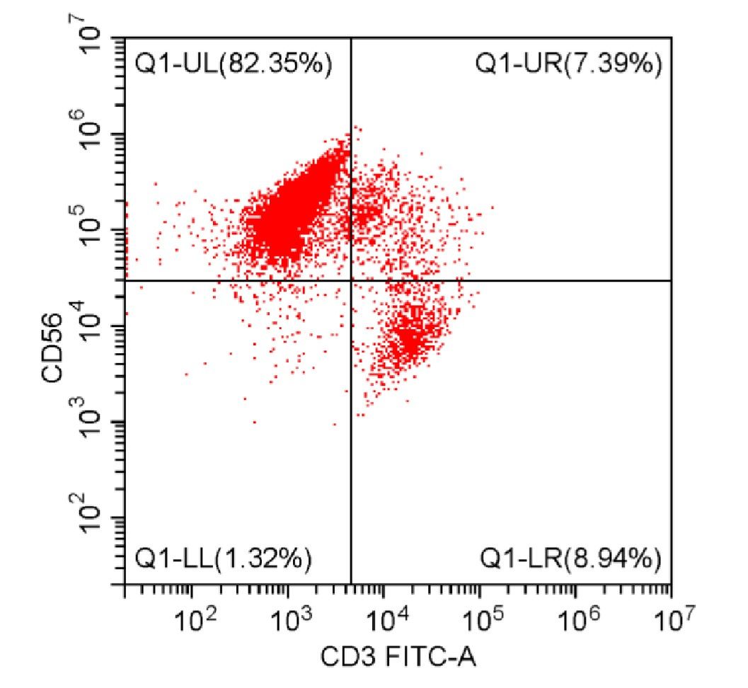 CD56-CD3+流式
