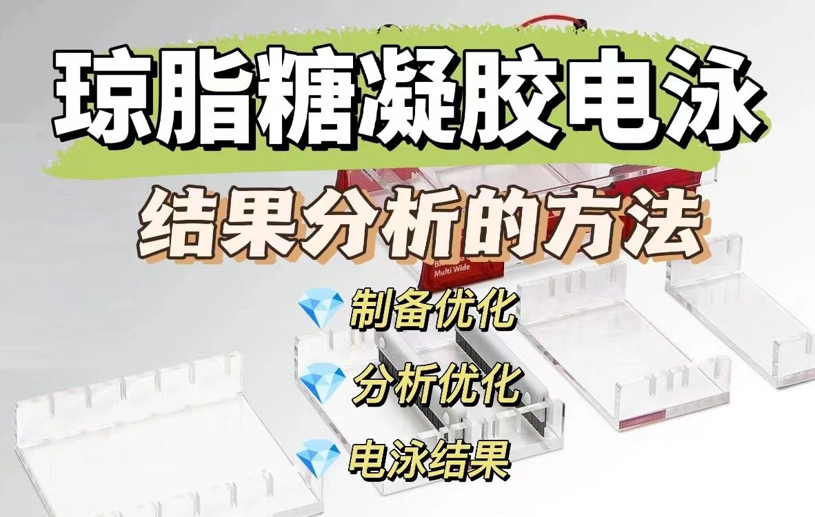 给出优化‌琼脂糖凝胶电泳结果分析‌的方法