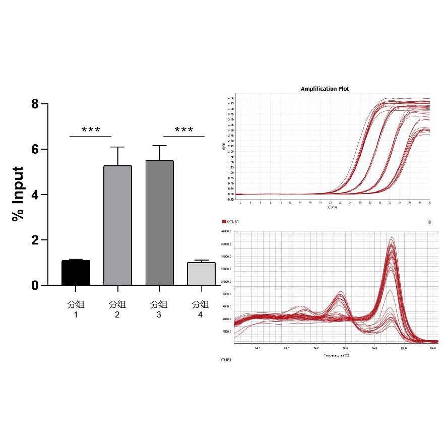 QPCR 检测