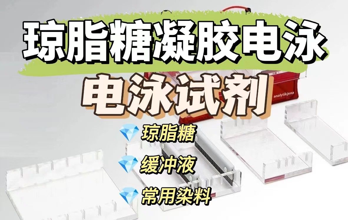 琼脂糖凝胶电泳试剂