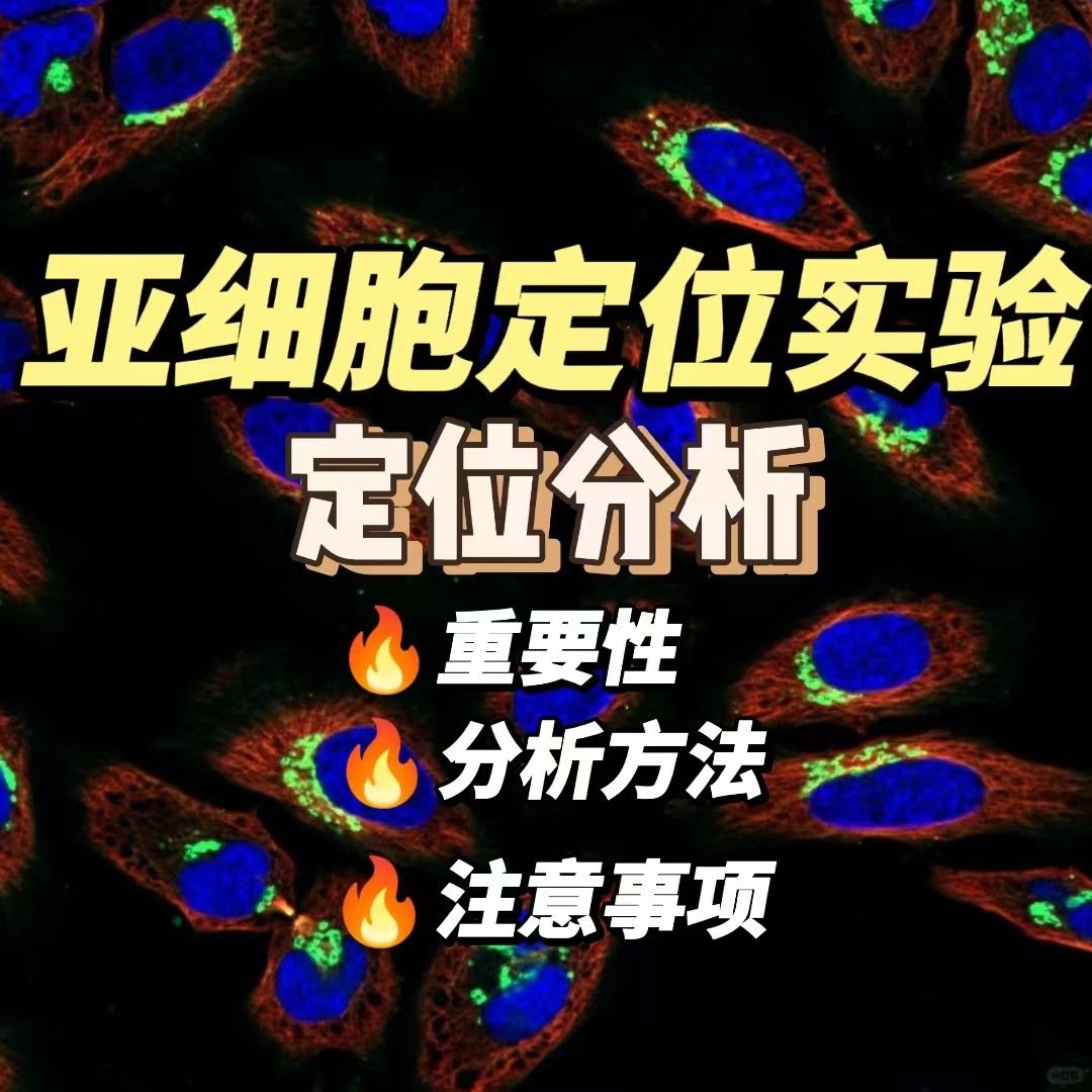 亚细胞定位分析
