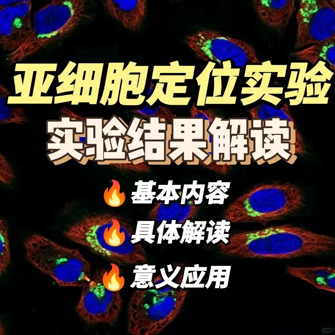 亚细胞定位实验结果解读