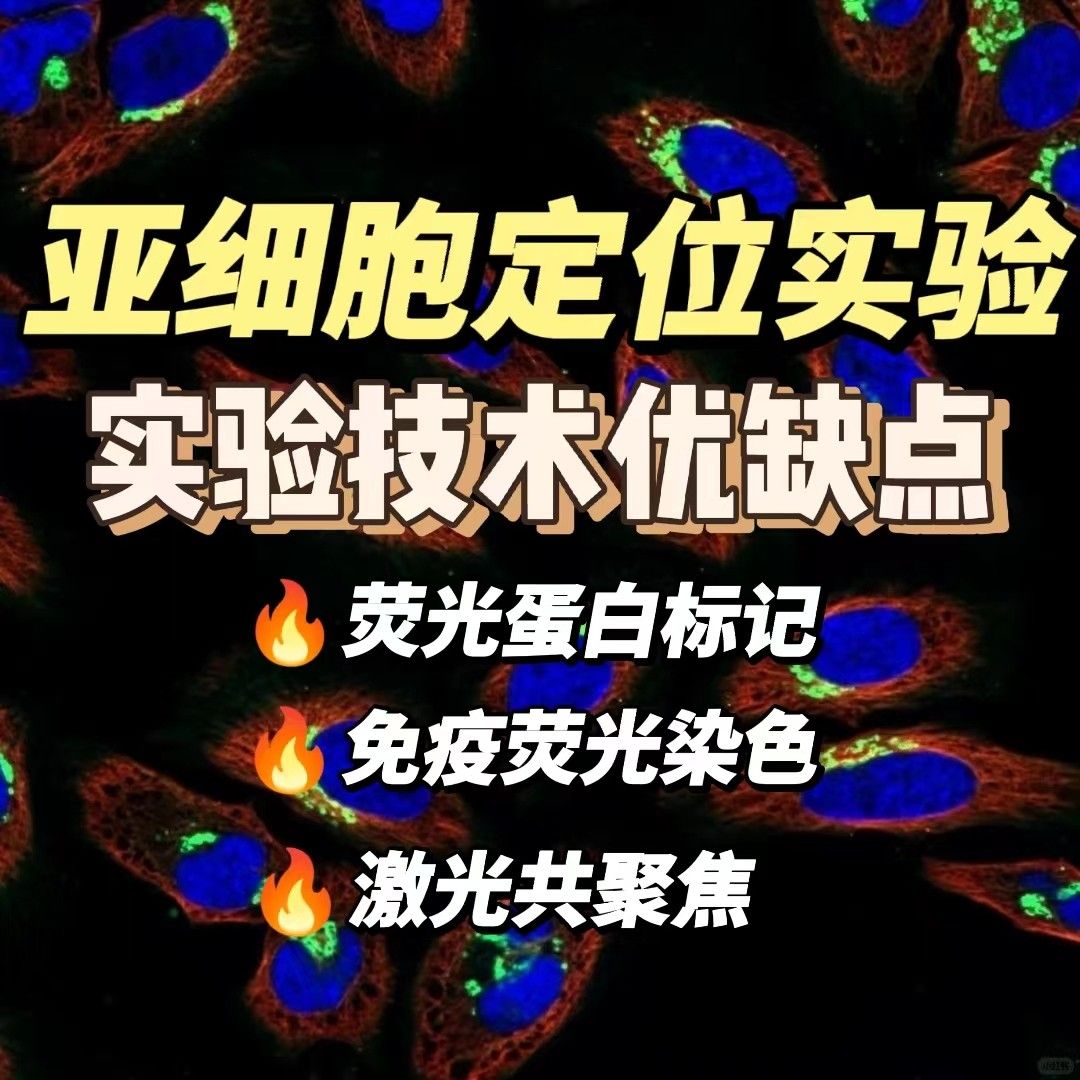 对比分析不同亚细胞定位实验技术的优缺点