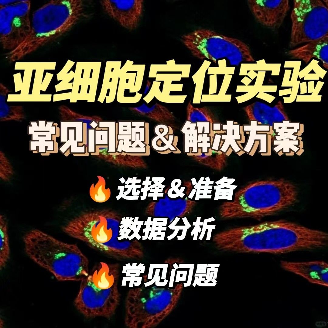 列举并分析亚细胞定位实验中的常见问题以及解决方案