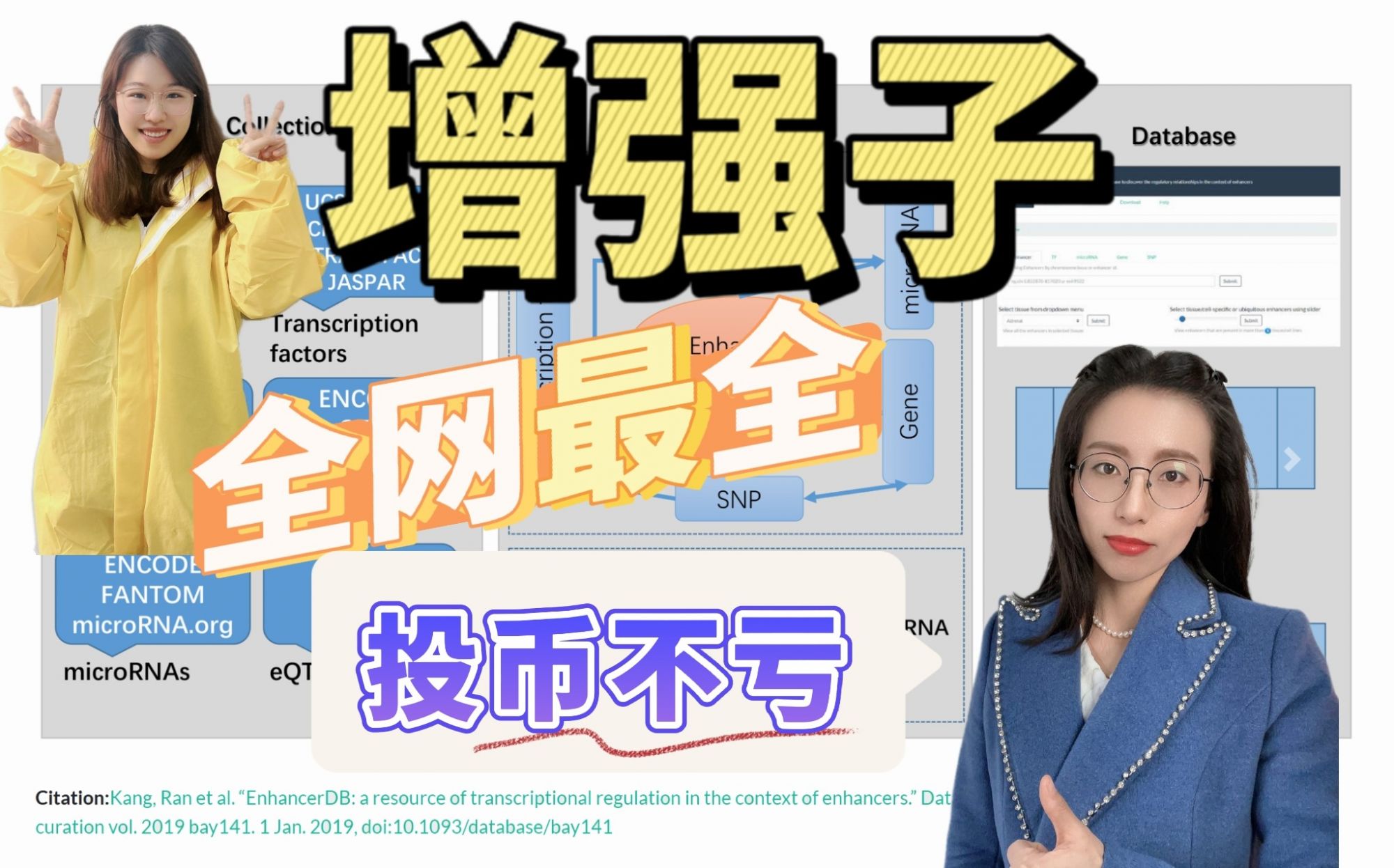 增强子及超级增强子序列查找
