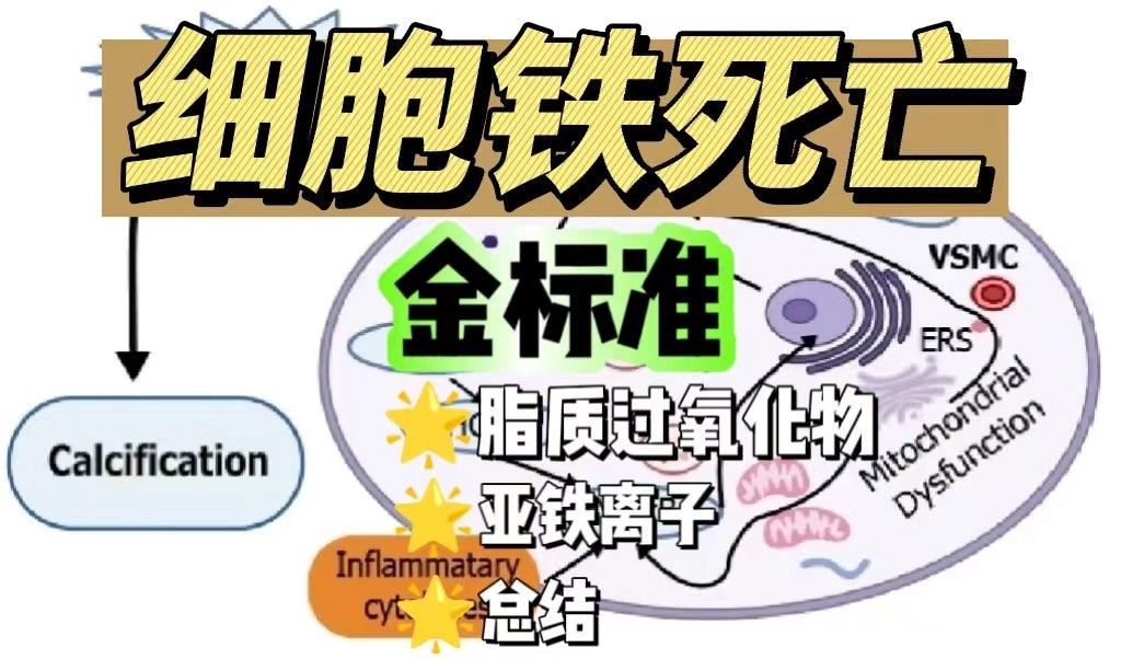 细胞铁死亡金标准