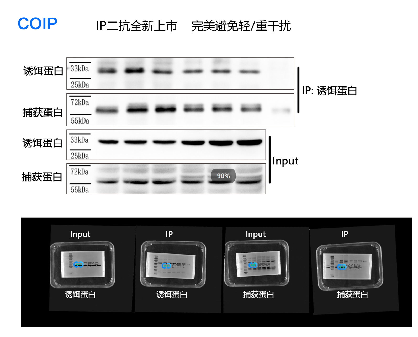 coip