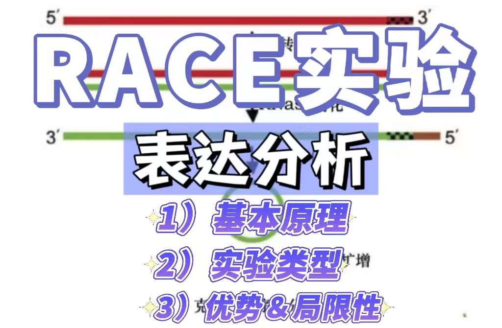 RACE实验与基因表达分析
