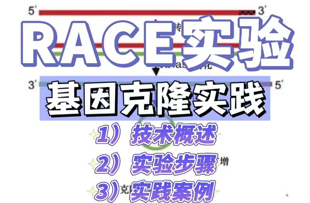 cDNA末端快速扩增技术（RACE）在基因克隆中的实践