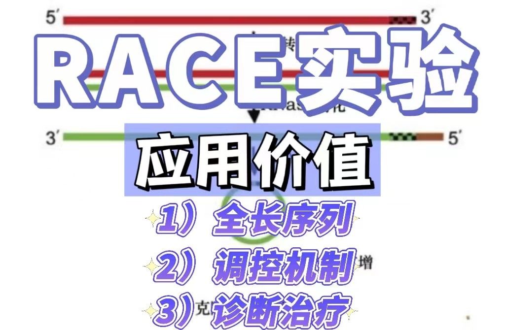 探索RACE实验在疾病相关基因研究中的应用价值