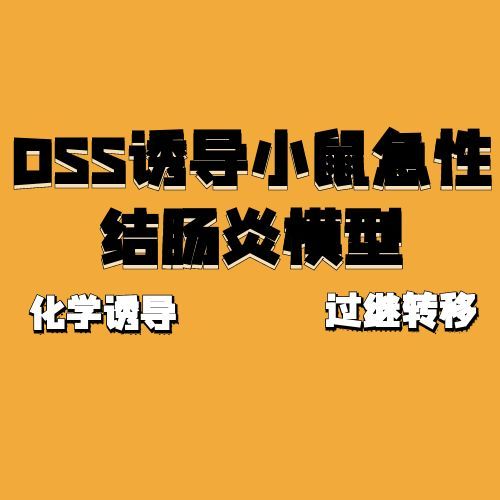如何高效构建小鼠肠炎疾病模型？