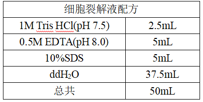 小白也能学会的细胞DNA提取步骤
