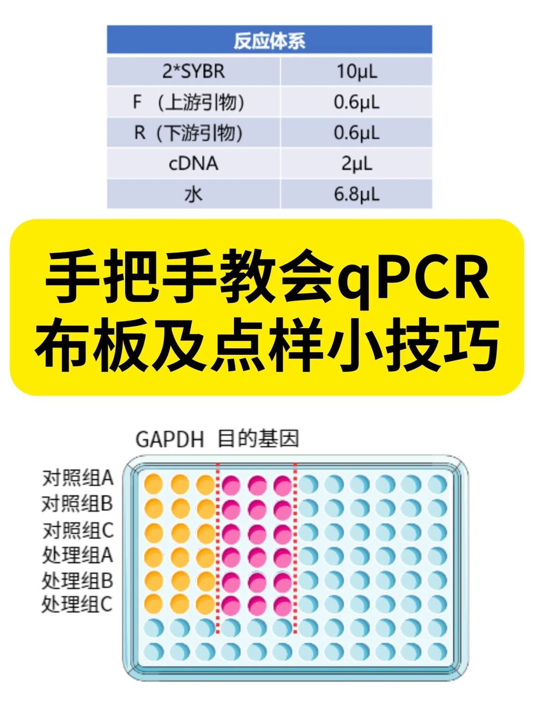 qPCR 点样秘籍—降低孔间误差