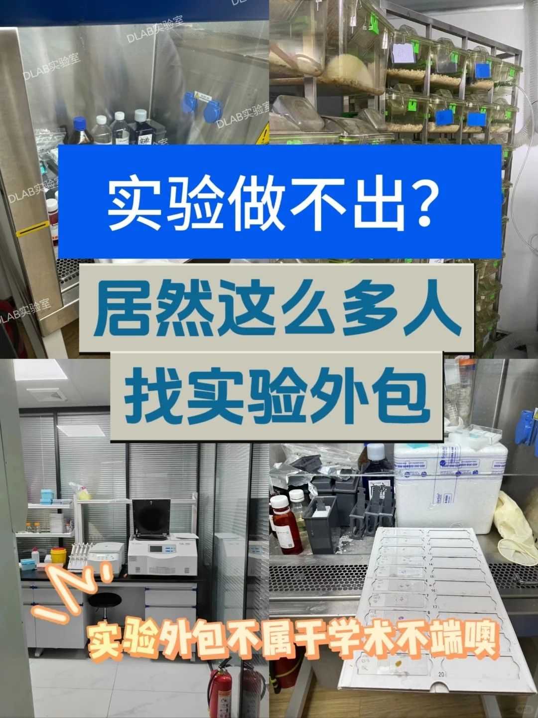 原来我们周围有这么多人选择实验外包
