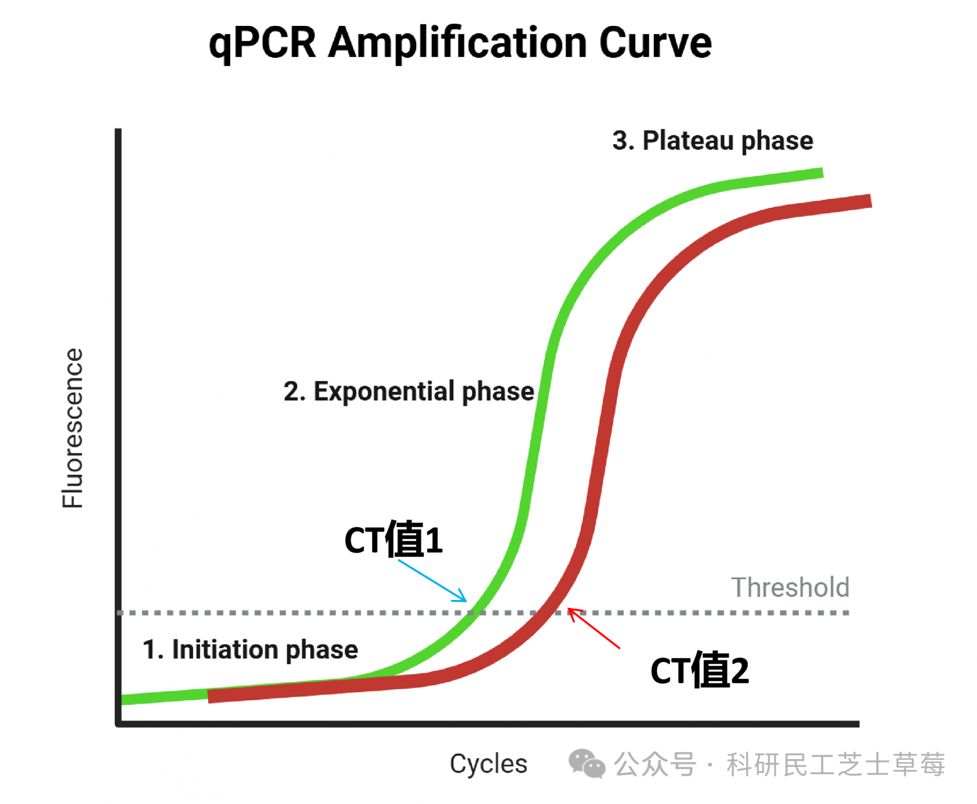 一张图搞懂qPCR实验中CT值的定义
