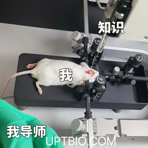 15种蛋白互作研究方法的原理及优缺点！