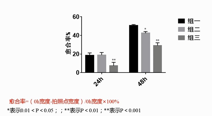 细胞划痕5.jpg